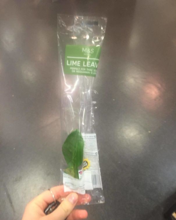 One leaf??? We hope that nature rebels against all of this ...