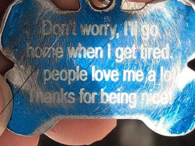 On the other side of the dog collar tag, the message continued: "Don't worry, I'll go home when I get tired. My people love me a lot. Thank you for being nice!"