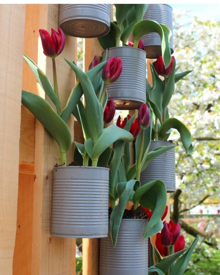 11. Upcycled tin cans used as flower vases
