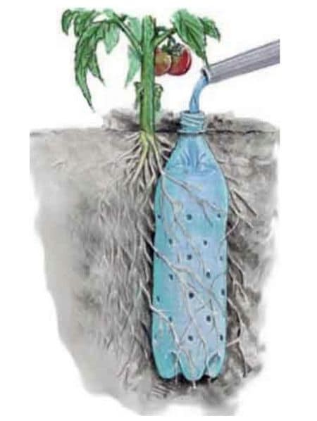 11. De plastic fles leent zich zelfs in geval van gelokaliseerde irrigatie: maak er gaatjes in en plant de plant ernaast, zodat de wortels gemakkelijk drinken kunnen vinden.