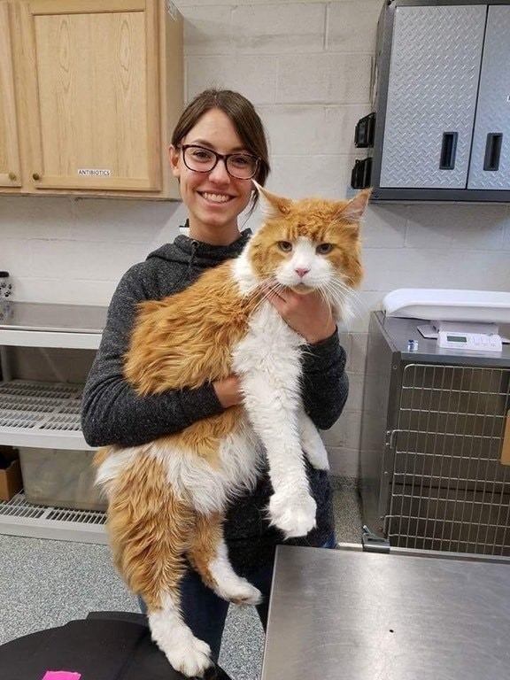 Il ne ressemble même pas à un chat !