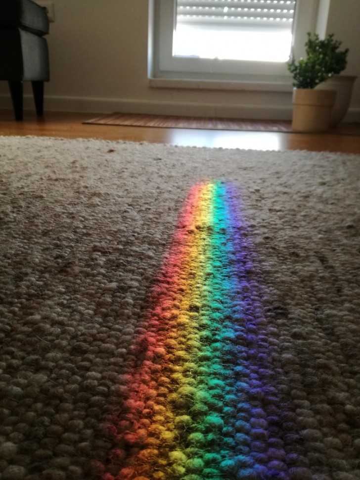 A magnificent rainbow inside the house.