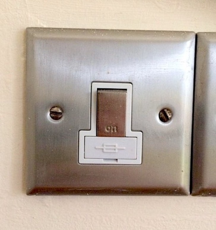 Koala-shaped light switch.