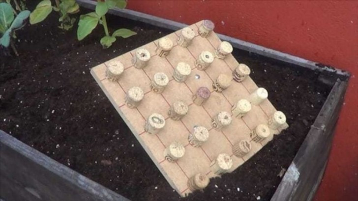 A wooden board and corks will help you to easily create the furrows for the plant seeds, arranged in an orderly manner.