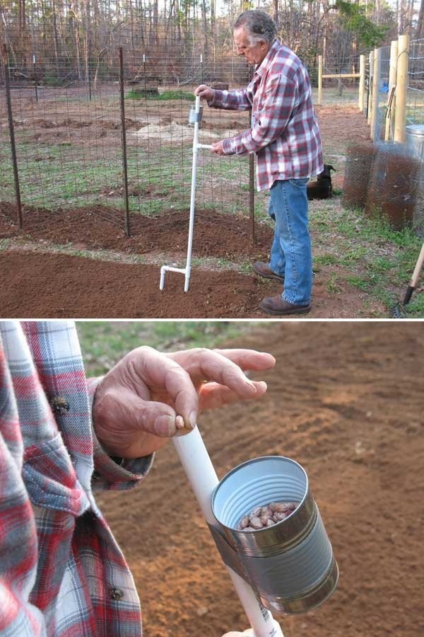 Create a seed sowing stick --- the stick must have a round tip to create the hole, a container in which to store the seeds, and a tube in which to slide them without bending.