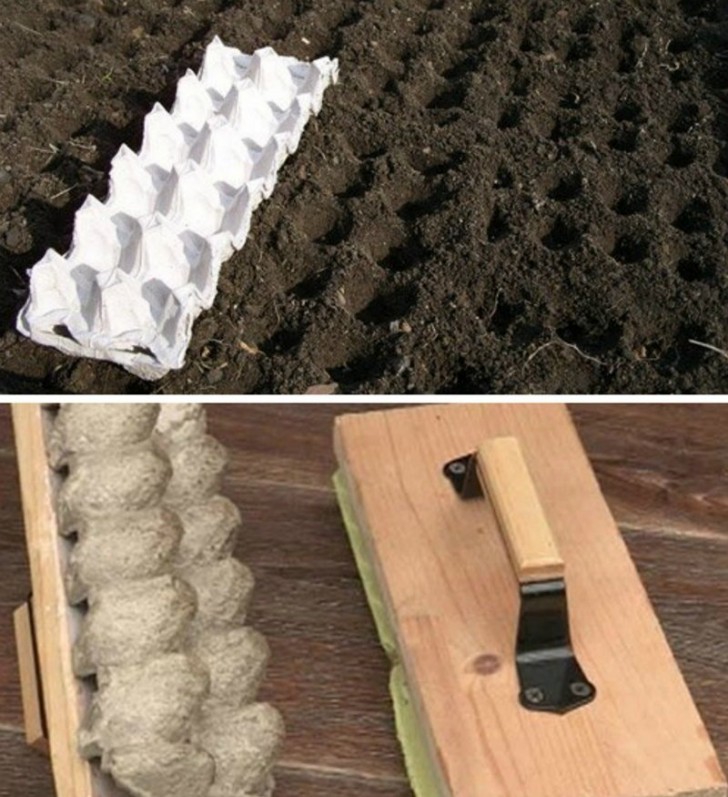 For the same purpose, you can also use an egg carton!