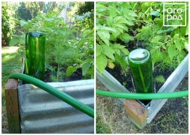 Asi es como evitar que tirando el tubo se vaya a romper las plantas en los macizos de flores.