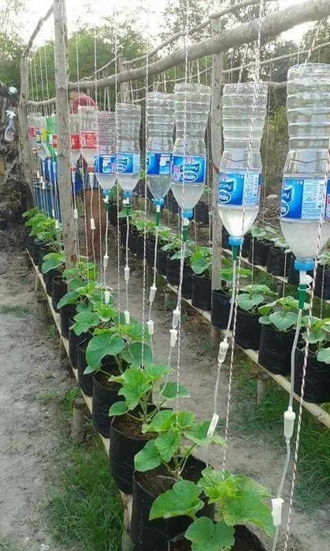 Un peu hôpital, un peu jardin, mais en tout cas ça marche !