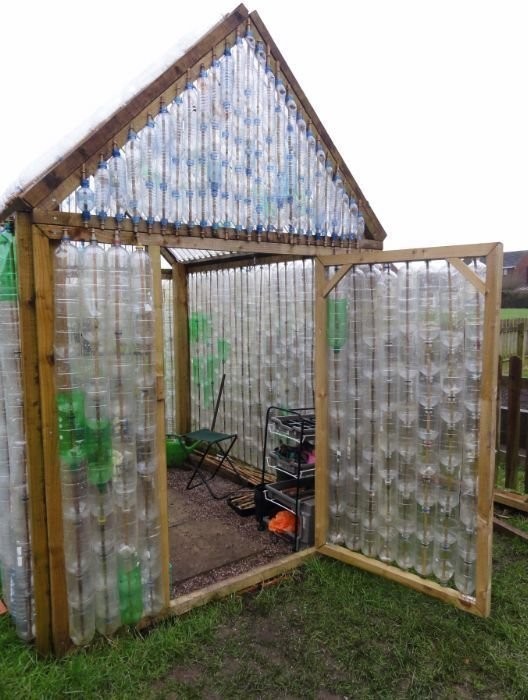 Plastic bottles are great for creating small greenhouses.