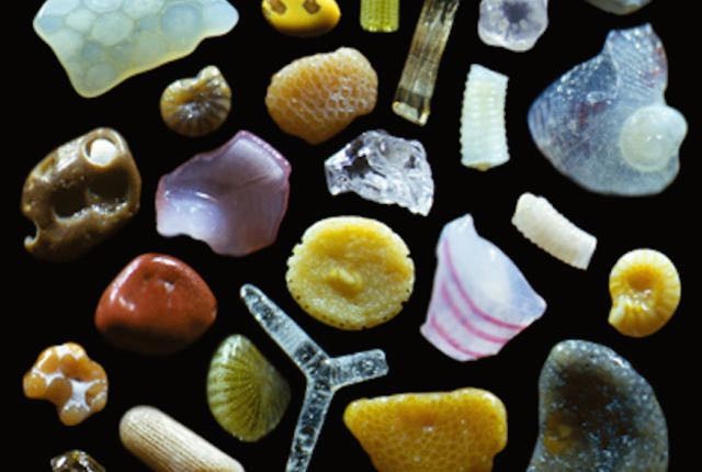 8. Een voorbeeld van de diversiteit van materiaal dat een enkel strand kan presenteren: deze fragmenten komen allemaal uit een gebied van Maui, Hawaii.