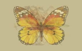 #8 Butterfly
