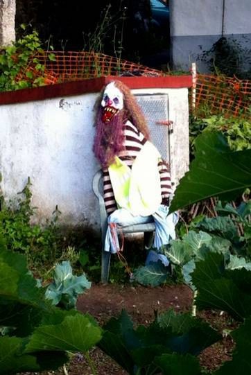 15. A scarecrow that does not only frighten the sparrows!