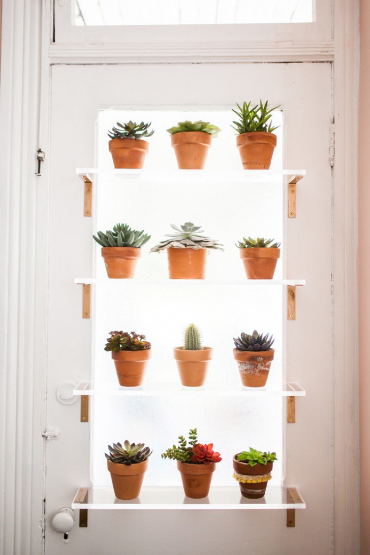 11. If you want to rely on shelves, you can choose transparent ones to offer plants an enhanced infusion of heat and light.