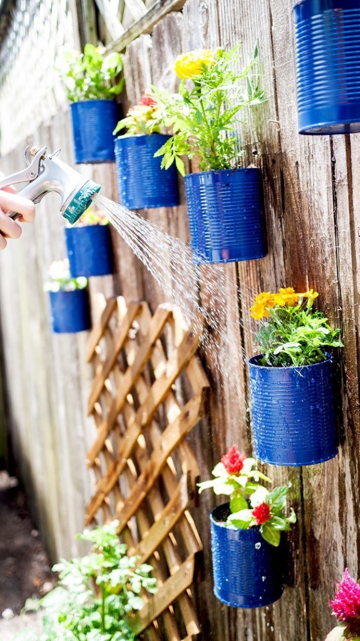12. Once again we see aluminum food cans used as planters and vases as they can be easily hung even on a simple fence.