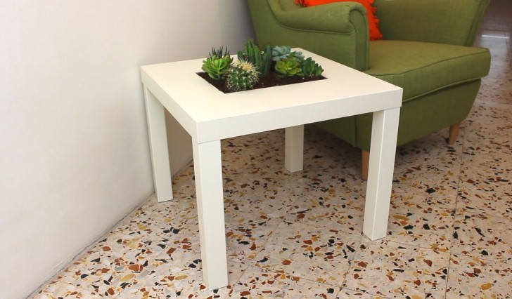 13. Turn an economical IKEA coffee table into a homemade mini-garden for succulent plants.