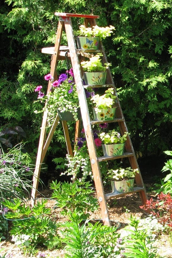 17. Uma velha escada pode servir de suporte para um jardim vertical.