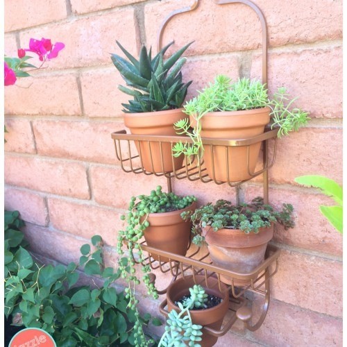 4. Très simple et efficace : de simples porte-savons de douche peuvent supporter les plantes à l'extérieur (vous pouvez aussi les colorer à volonté).