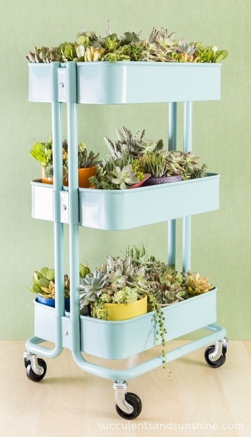 7. Many stores, such as IKEA, sell trolleys at various prices with shelves that you can use to place your favorite plants on.
