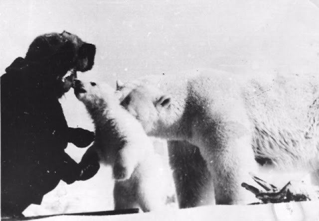 Nikolai si affezionò a quel cucciolo ormai solo, lo chiamò Masha e si prese cura di lui fino alla primavera del 1975.