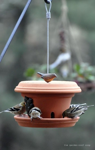 2. Une belle mangeoire pour les oiseaux qui donnera littéralement vie à votre jardin.