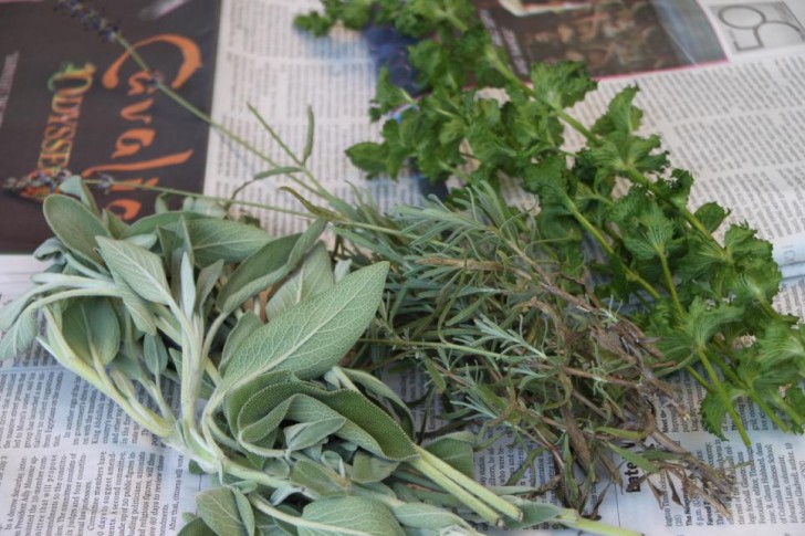 Vous pouvez créer un anti-moustique naturel en créant une sorte d'encens à base de plantes.