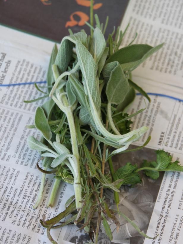 Pueden usar la salvia, romero, cilantro y el perejil.