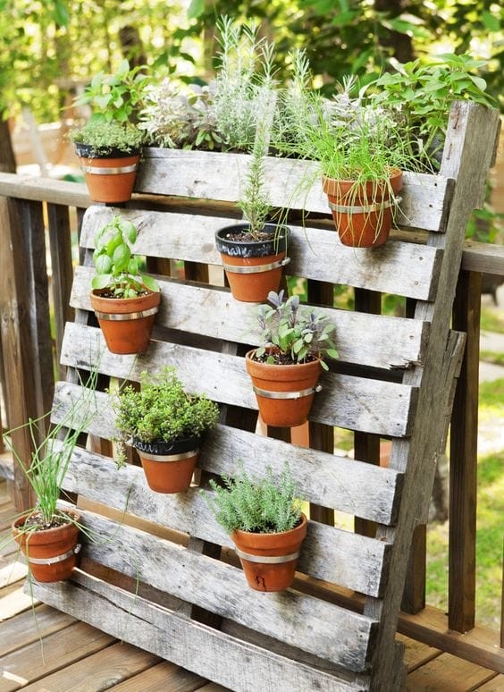 Use a wooden pallet to create a vertical garden.