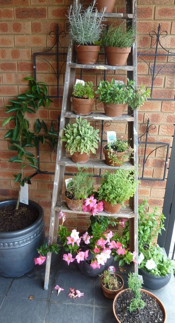 An ancient wooden ladder creates a very romantic atmosphere!