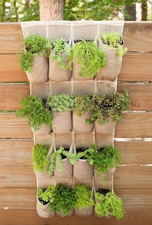 Hanging storage pockets for objects can become original planters for a vertical garden.