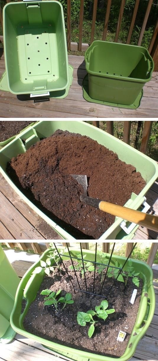 Uma pequena horta em um pote de plástico: lembre-se de fazer furos no fundo para drenar a água.