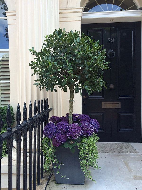 The most appropriate way to welcome guests is by taking special care of the entrance to your house!