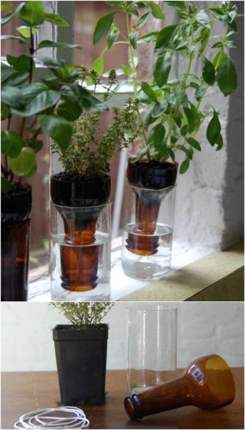 If you love upcycling, here is a way to find a second life for plastic bottles and, at the same time, take care of plants even if you are far away!