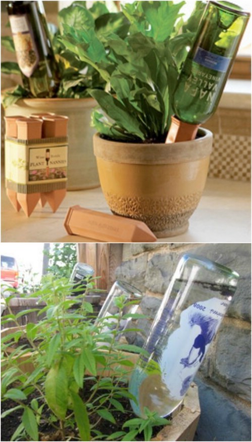 You can use plastic or glass bottles to irrigate your plants: just drill a hole in the cap and turn the bottle upside down.