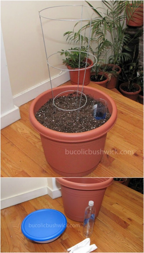 There is no need to buy specific equipment for automatic irrigation because you can even use a common planter pot.