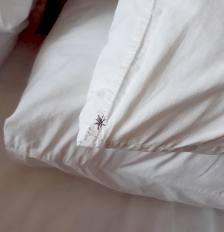 On the hotel pillows they have a "palm tree" icon that looks exactly like a spider.