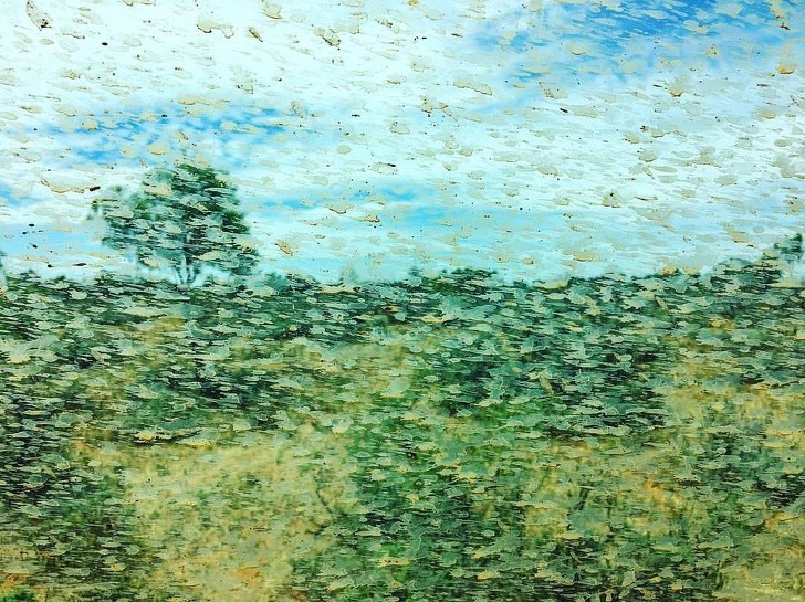 13. Comment les éclaboussures de boue sur la fenêtre peuvent imiter un Monet.