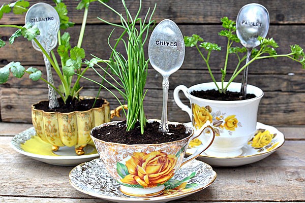 11. Tea or coffee cups ... full of living herbs or flowers!