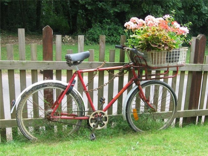 12. Taking your flowers for a virtual bicycle ride.