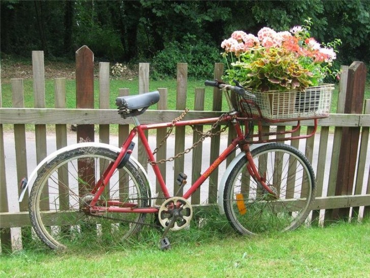 12. Blumen auf dem Fahrrad.