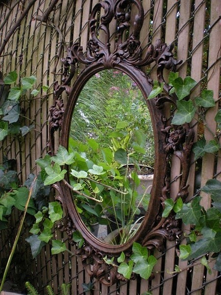 3. "Mirror mirror on the wall, who has the most beautiful garden of them all?"