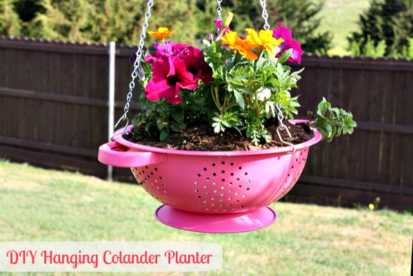 9. Colander in the garden.