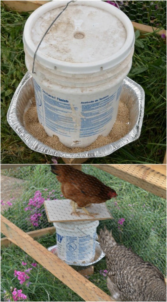 1. A feeder for a chicken coop.