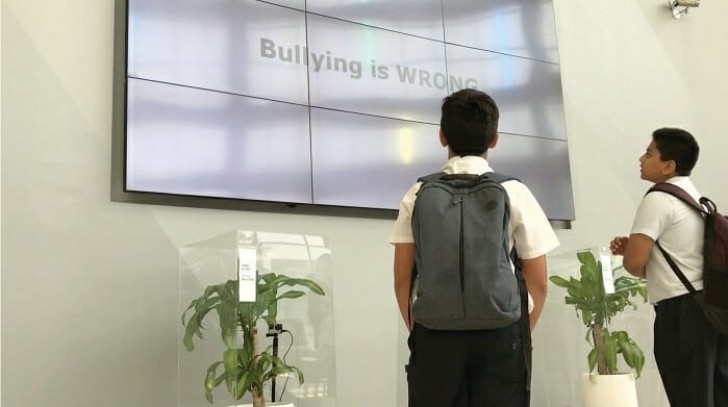 IKEA asks students to "bully" a plant for 30 days and the result opens our eyes! - 11