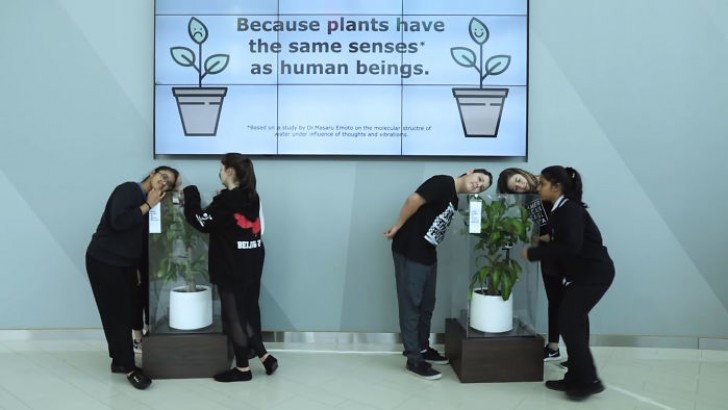 IKEA pide a las personas de hacer "bulling" a una planta por 30 dias: el resultado nos abre los ojos - 4