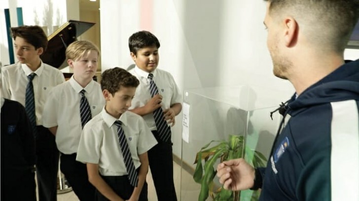 IKEA asks students to "bully" a plant for 30 days and the result opens our eyes! - 6