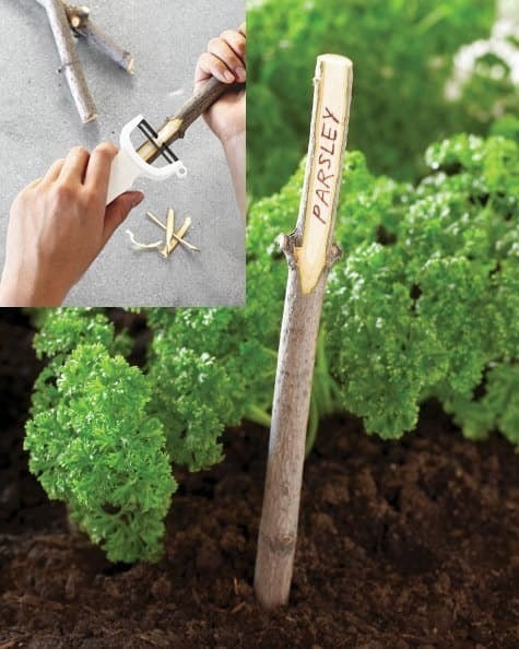 1. Avete mai pensato di pelare un bastoncino di legno? Ecco come si trasforma in un segna-pianta!