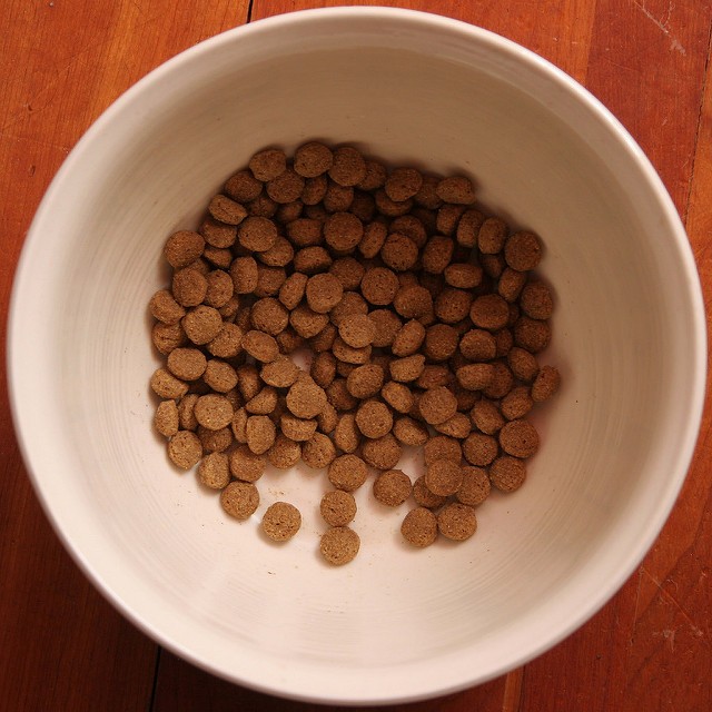 4. Keep pet food for animals dry