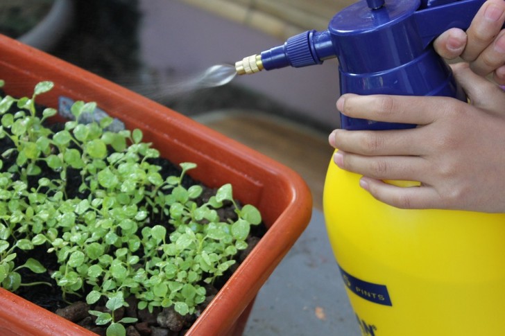 Ecologisch bestrijdingsmiddel: zo maak je het klaar!