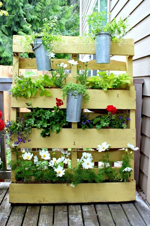 2. Plaats hem verticaal en hang er potten met speciale steunen aan, en je transformeert de pallet in een mooi plantenrekje