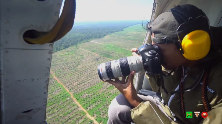 Un video girato dagli attivisti di Greenpeace mostra un'operazione di disboscamento in uno dei paesi più interessati da questo fenomeno, l'Indonesia.